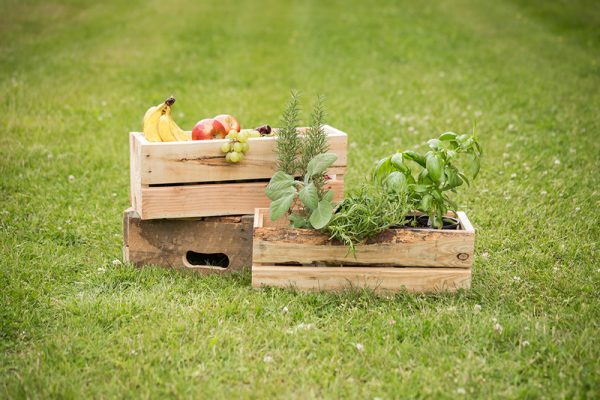 Woodworking for Women - Flower Boxes